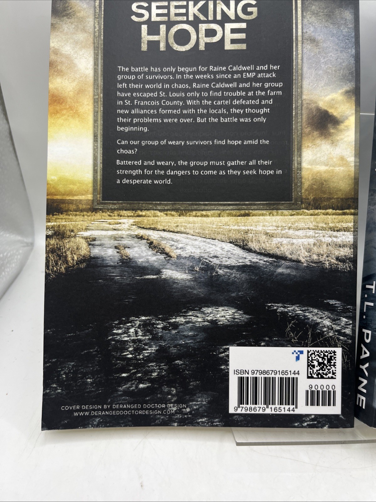Gateway to chaos book series set of 2- Book 3 Seeking Hope & 4 Seeking Justice