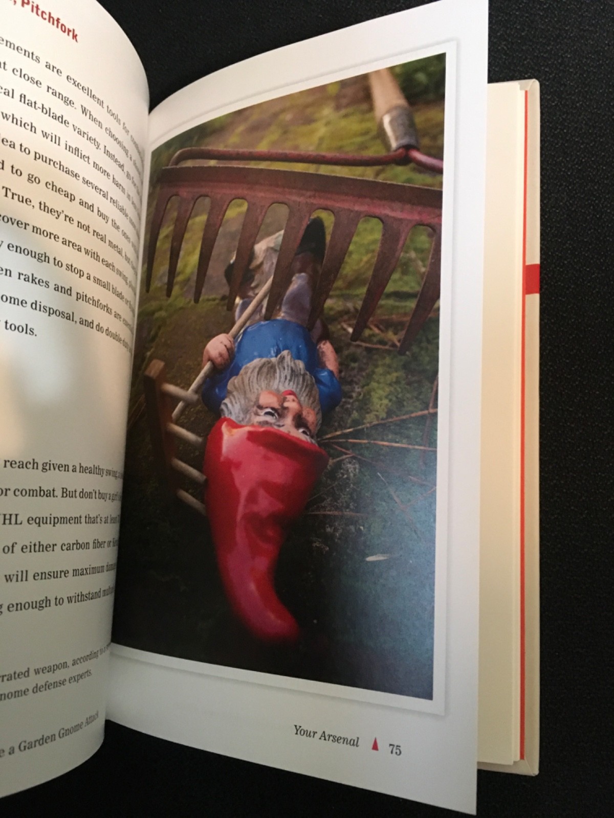 HOW TO SURVIVE A GARDEN GNOME ATTACK Lawn Warriors Defend Yourself SAMBUCHINO HC