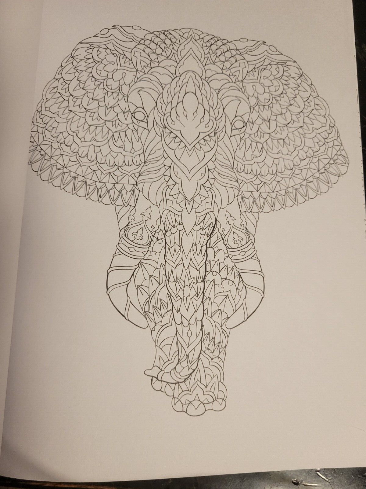 MAJESTIC CREATURES Vol 13 Adult Coloring Book With 47 Prints Ready To Frame