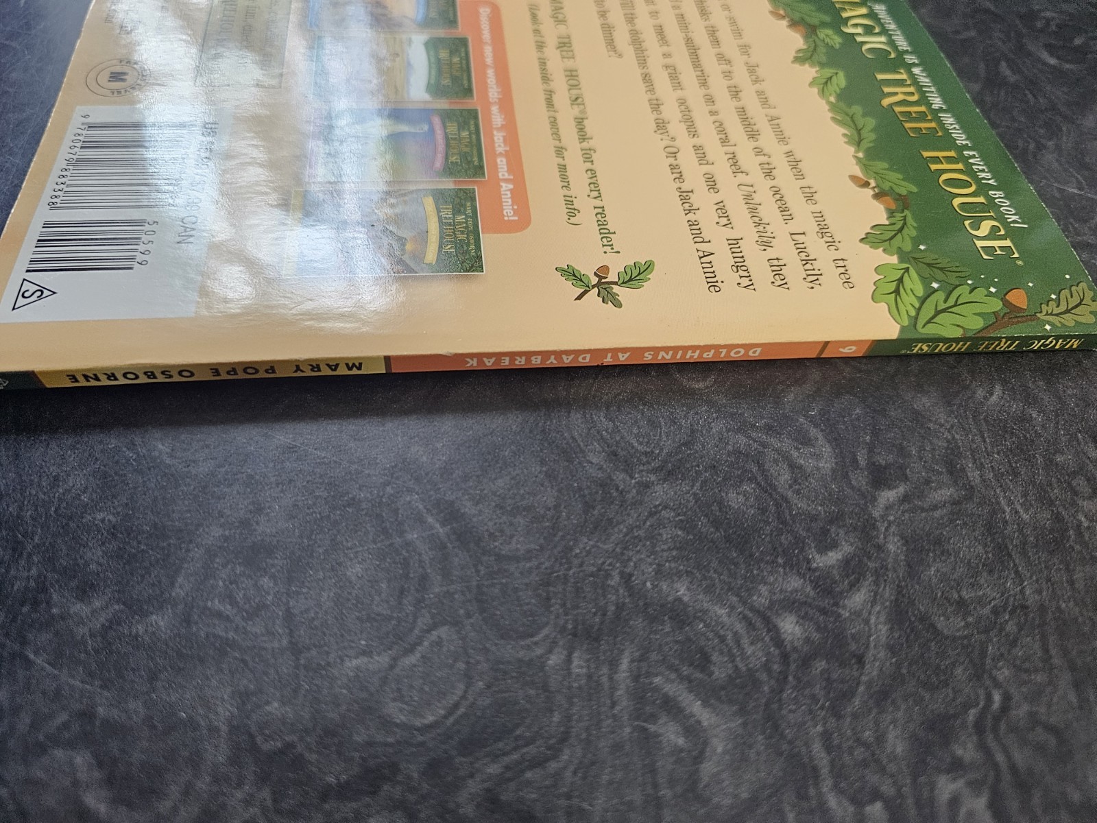 Dolphins at Daybreak by Mary Pope Osborne (1997, Trade Paperback)