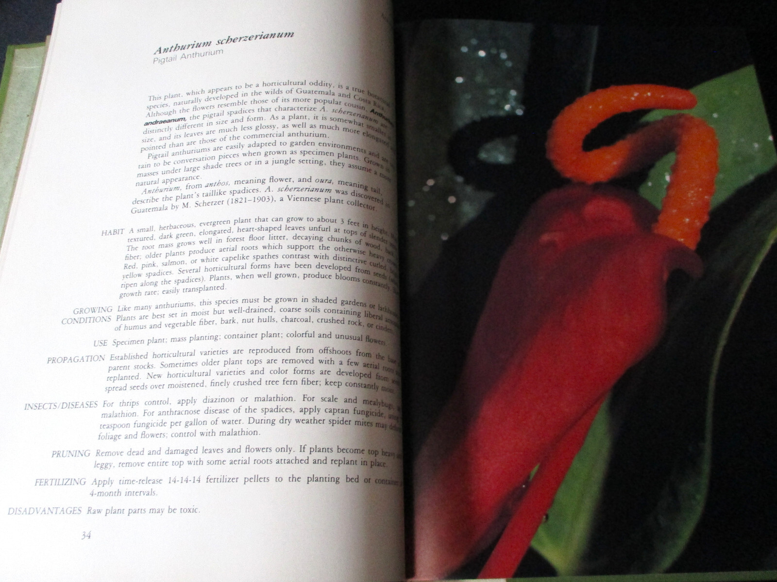 HAWAII GARDEN TROPICAL EXOTICS Horace Clay SIGNED HC 1ST 1977 Gardening Plants