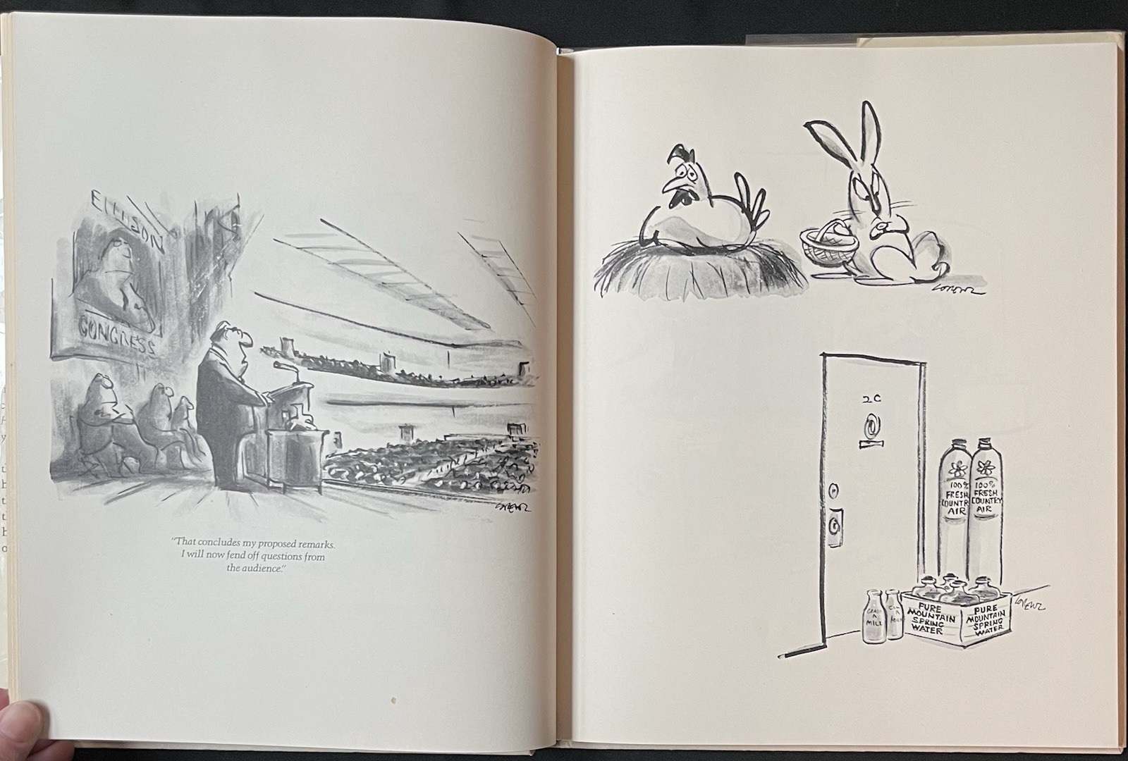 Now Look What You’ve Done! by Lee Lorenz—1st Ed/1977—HC/DJ/Mylar Cover—Cartoons
