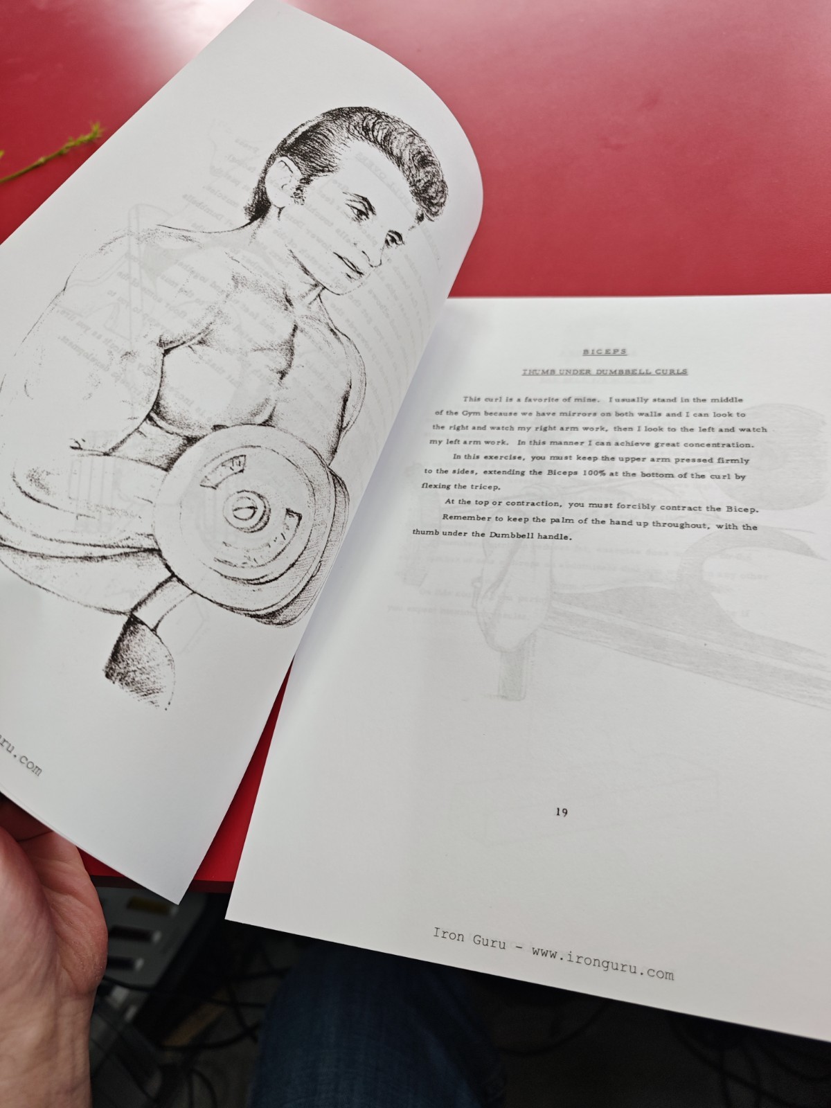 10,8,6,15 By Vince Gironda (Reprint, Original Course)