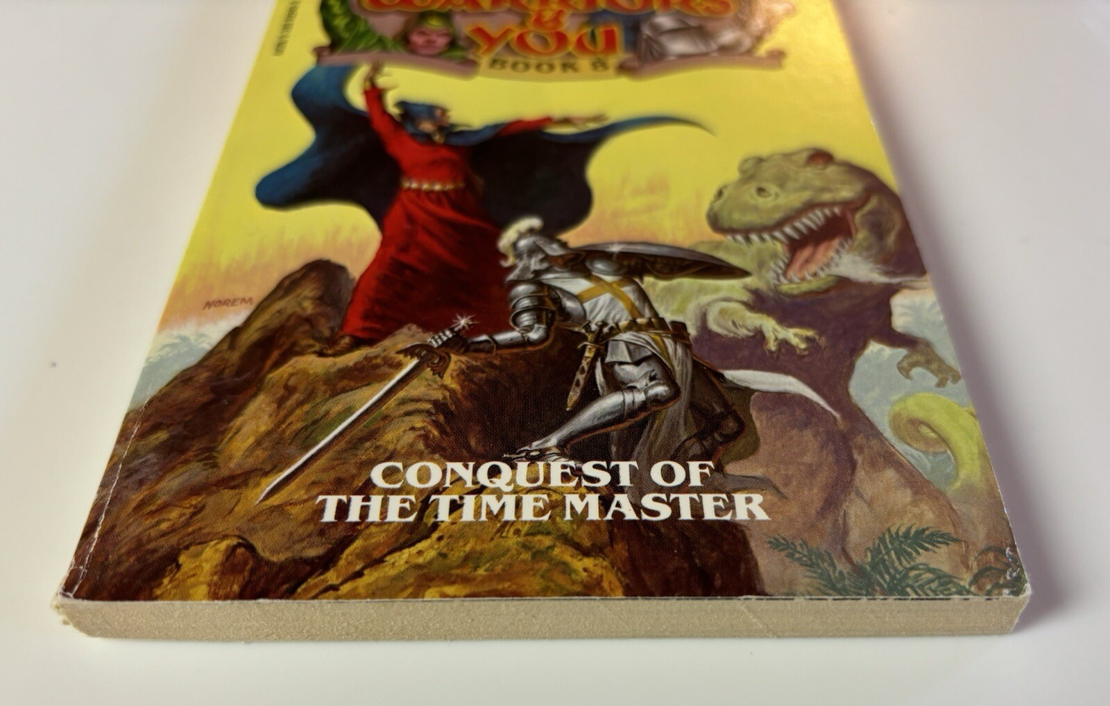Wizards, Warriors & You #8 Conquest Of The Time Master CYOA Gamebook 1985
