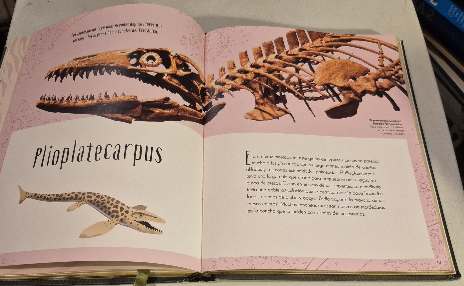 Antología de dinosaurios y vida prehistórica (Dinosaurs and Other Prehistoric ..
