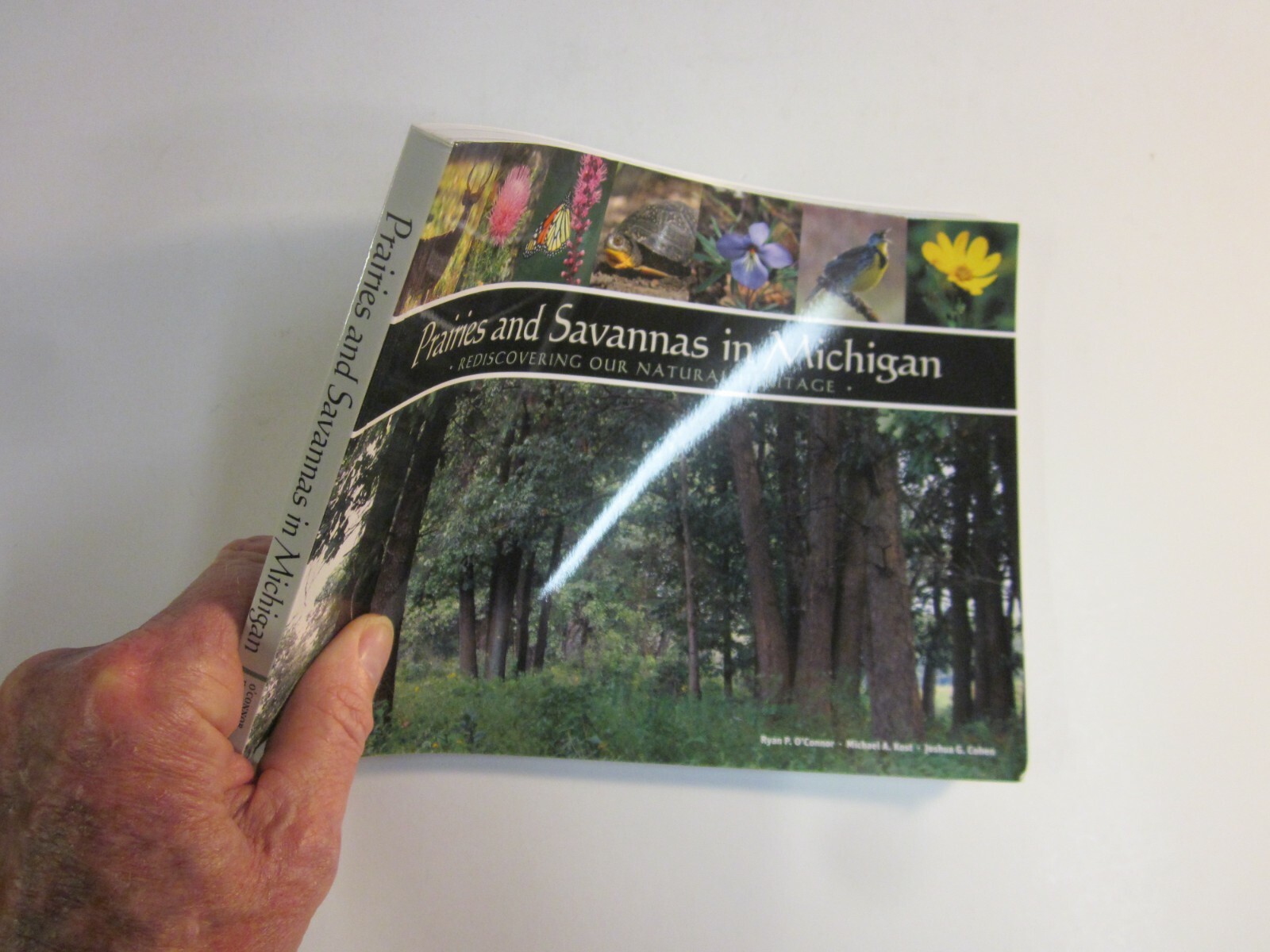 Prairies and Savannas in Michigan : Rediscovering Our Natural Heritage 2009