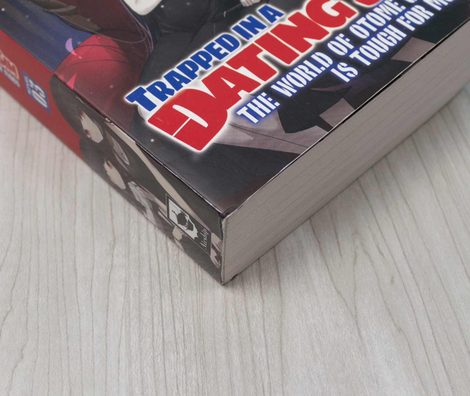 Trapped in a Dating Sim Vol 3 English Light Novel Volume