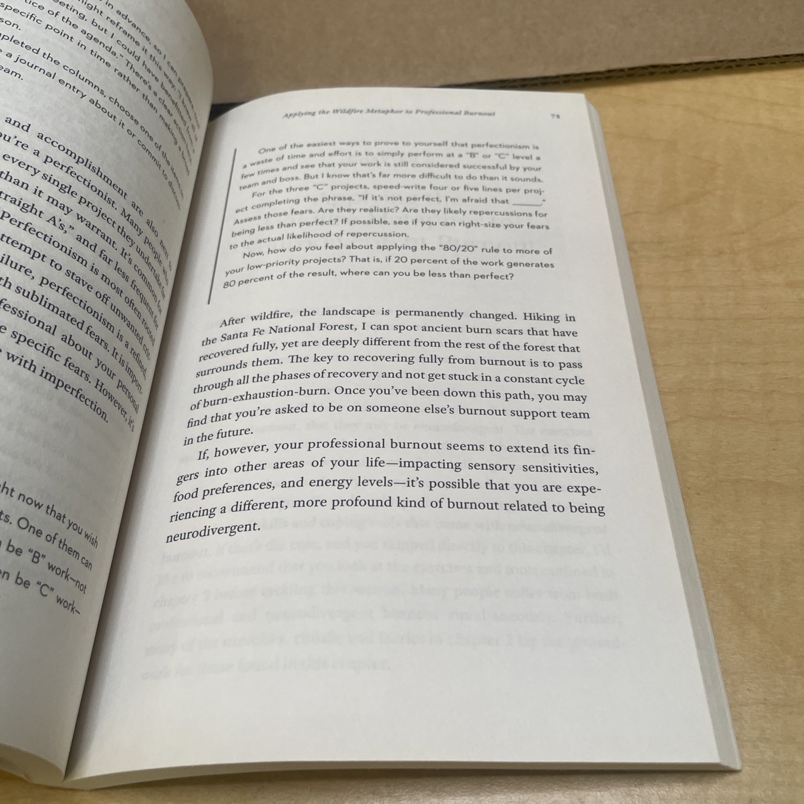 Burnout Recovery by Alicia King Anderson Paperback