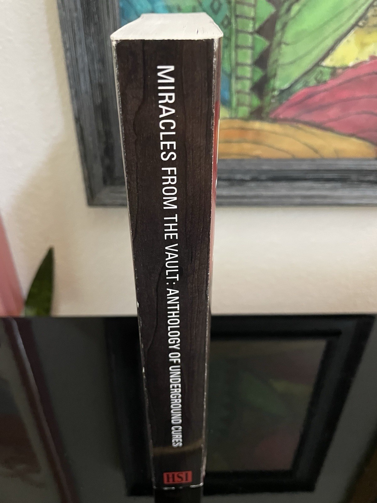 Miracles from The Vault Anthology of Underground Cures by Jenny Thompson TPB VG+