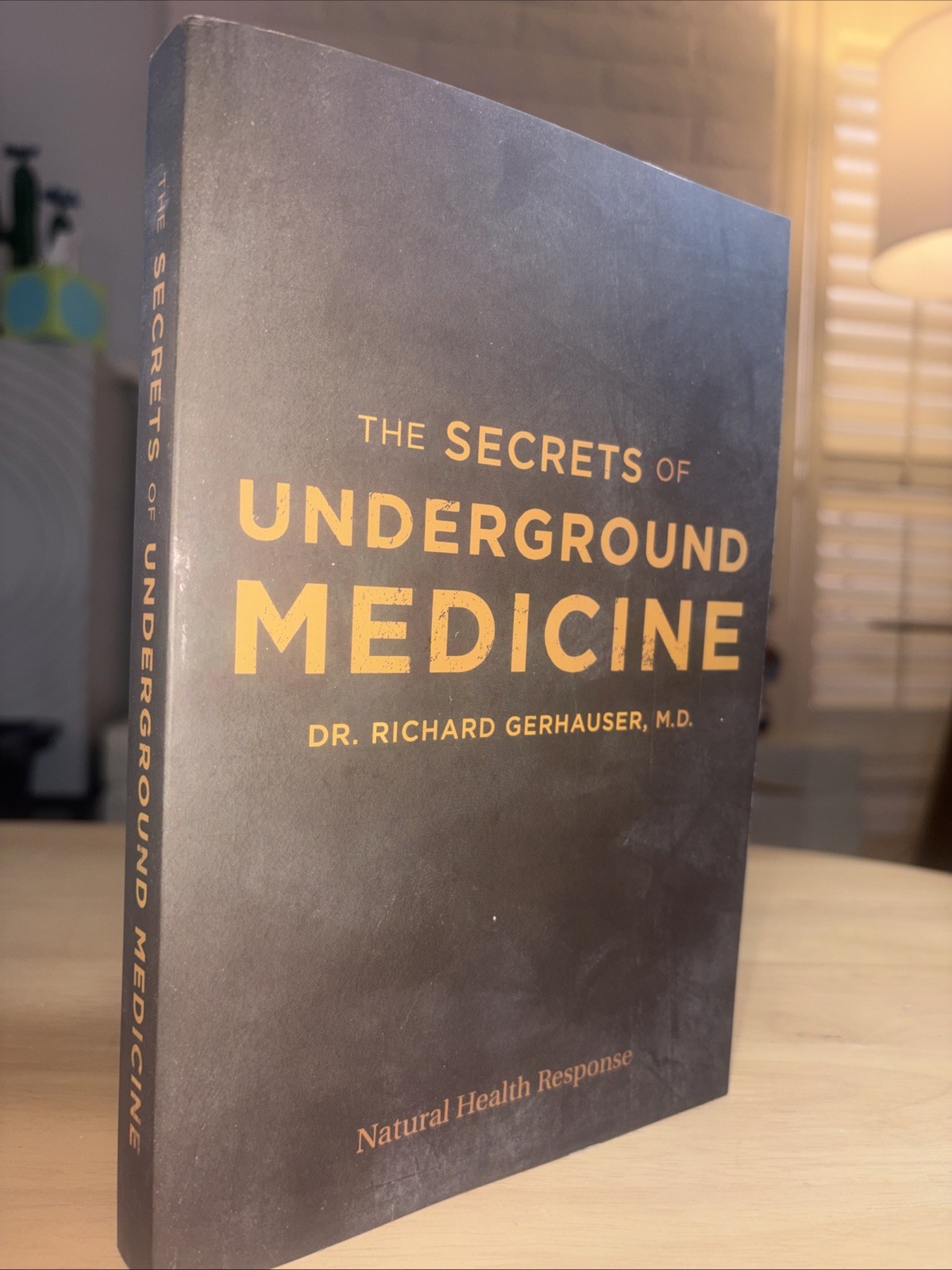 The Secrets of Underground Medicine Richard Gerhauser Natural Health 2017 ~ NEW