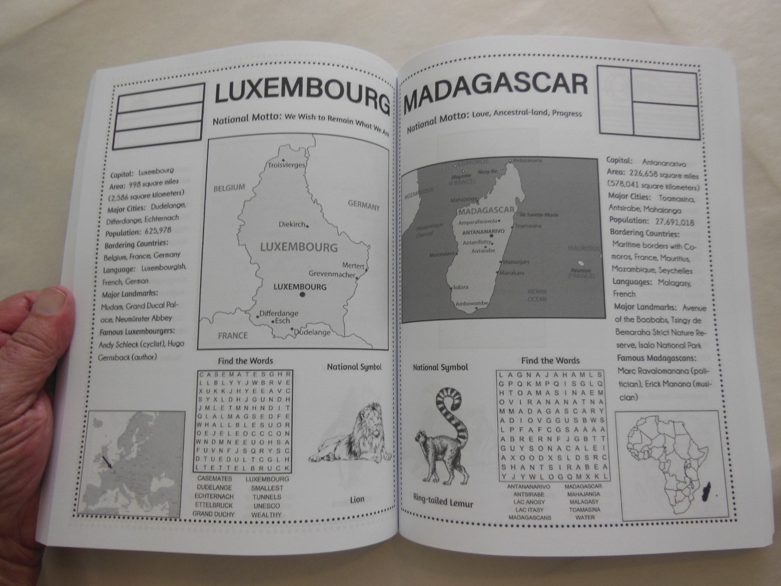 World Geography Activity Book by J. R. Grady and Dylanna Press (2023, Trade…
