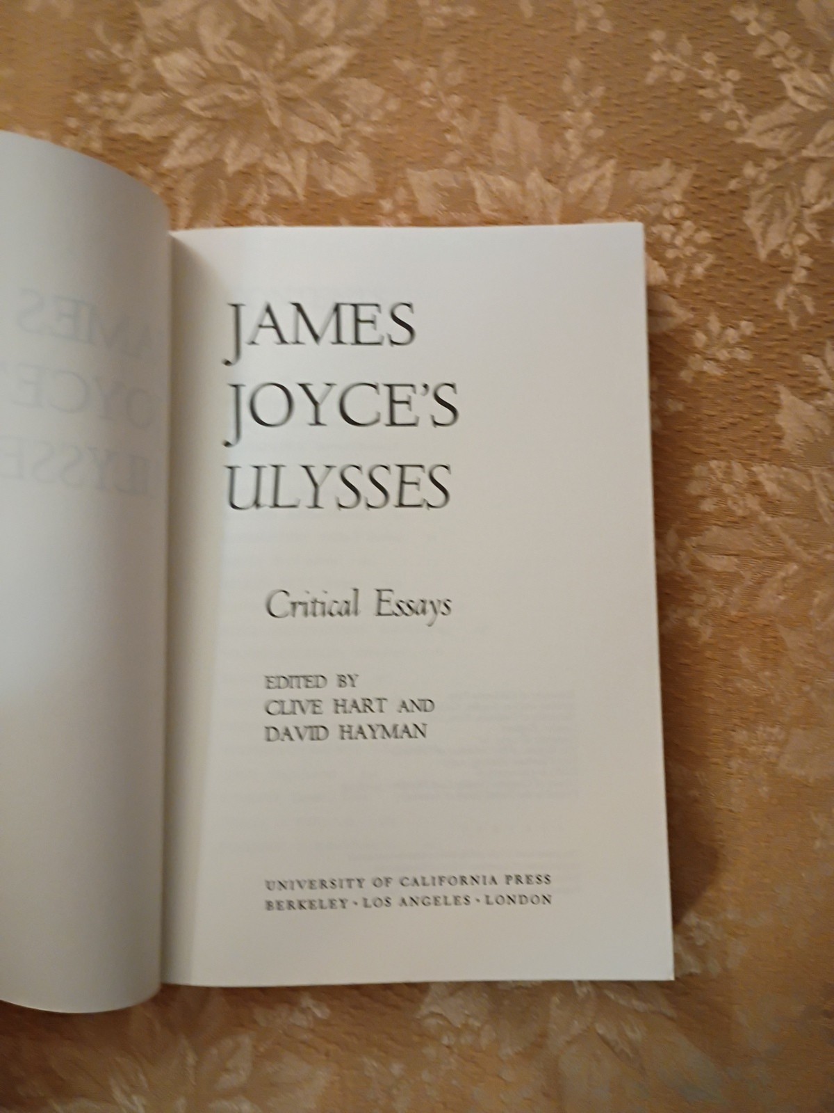 James Joyce’s Ulysses Critical Essays 1977 UC Press Paperback Printing Book