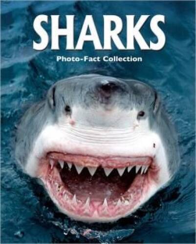 SHARKS (PHOTO-FACT COLLECTION) Hardcover – Hardcover By JANE P RESNICK – GOOD