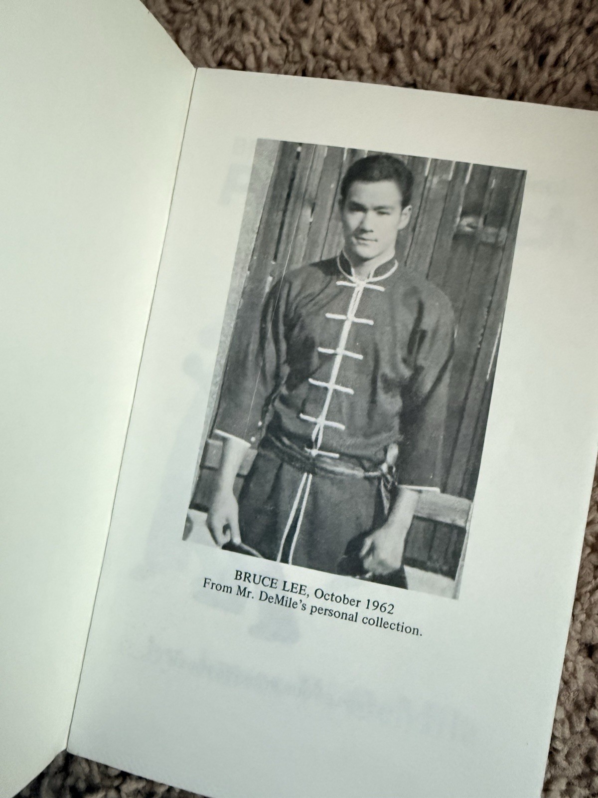 Bruce Lee’s 1 and 3 Inch Power Punch Book 1997 by DeMille, James W. Martial Arts