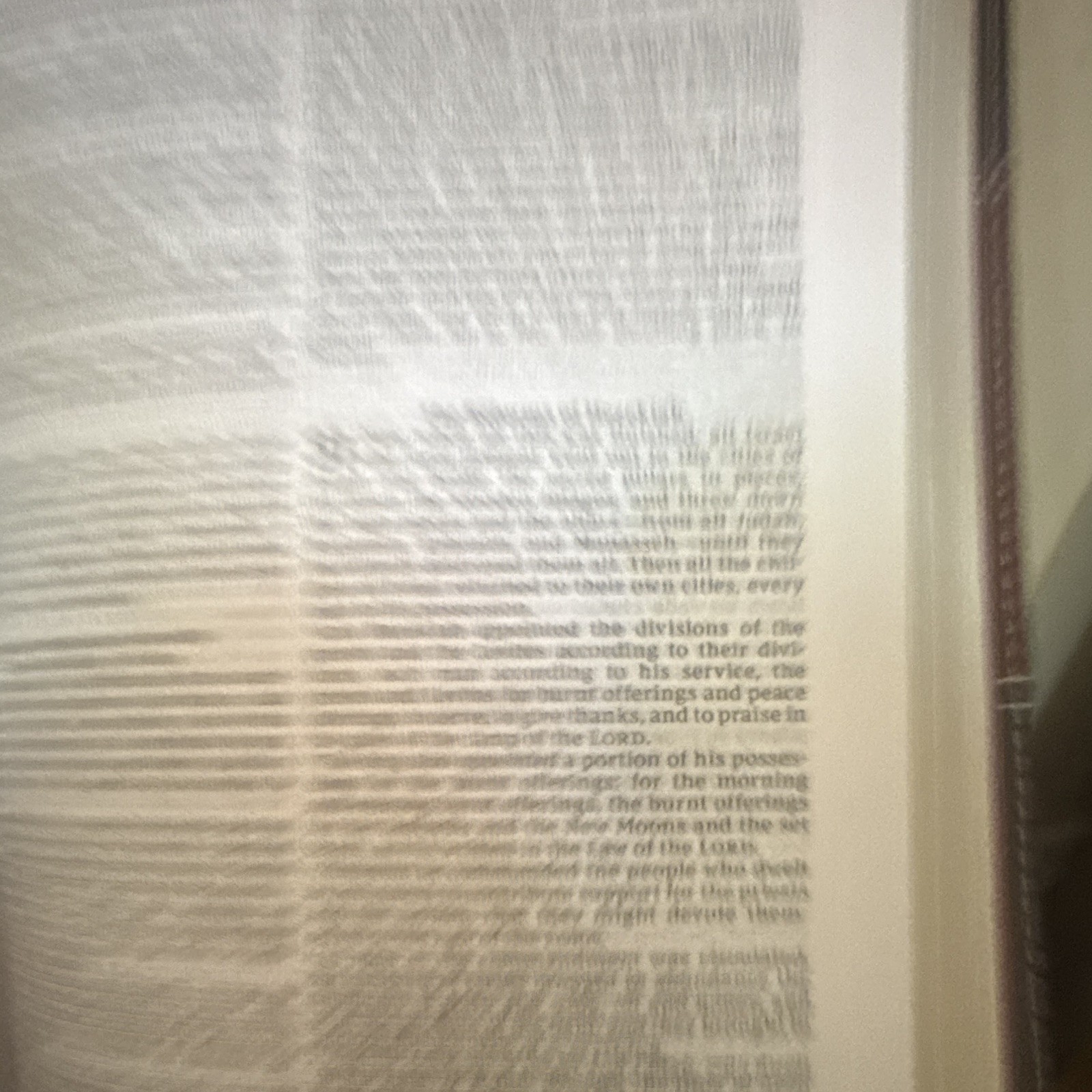 Reina Valera 1960 Biblia Bilingüe RVR/NKJV Spanish/English Leather Bound