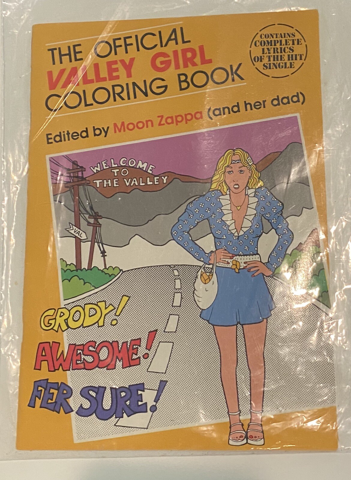 MINT! The Official Valley Girl Coloring Book (1982) Moon Zappa and dad Frank