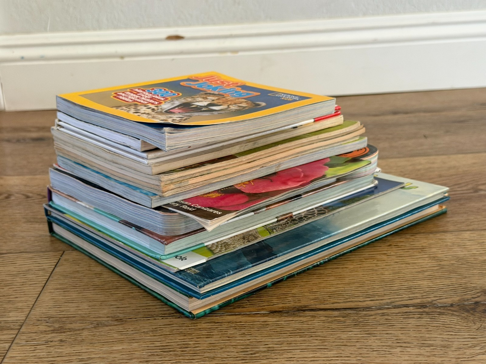 Lot of 15 Children’s Animal animals Picture Books Homeschool Sharks, Reptiles…