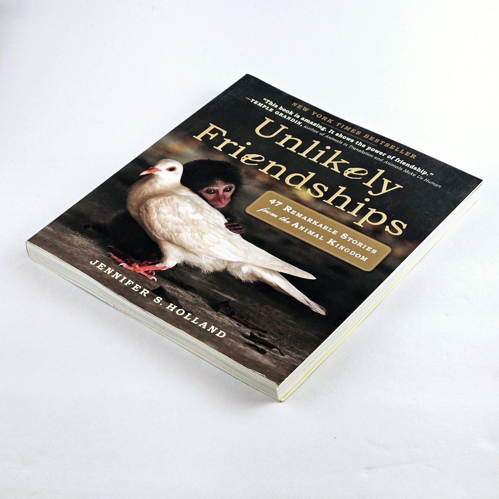 Unlikely Friendships Jennifer S. Holland Gift Book Adorable Animal Stories