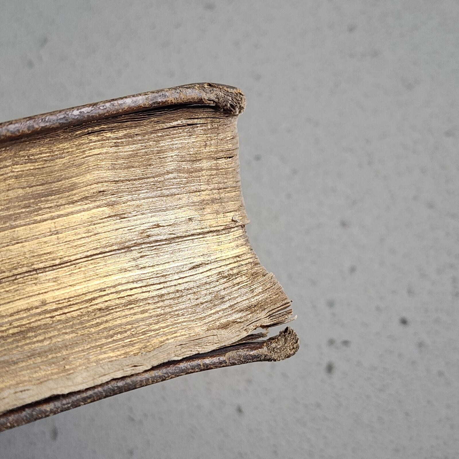 Antique c1860s Victorian Holy Bible Leather Bound Pocket Edition with Gilt Edges