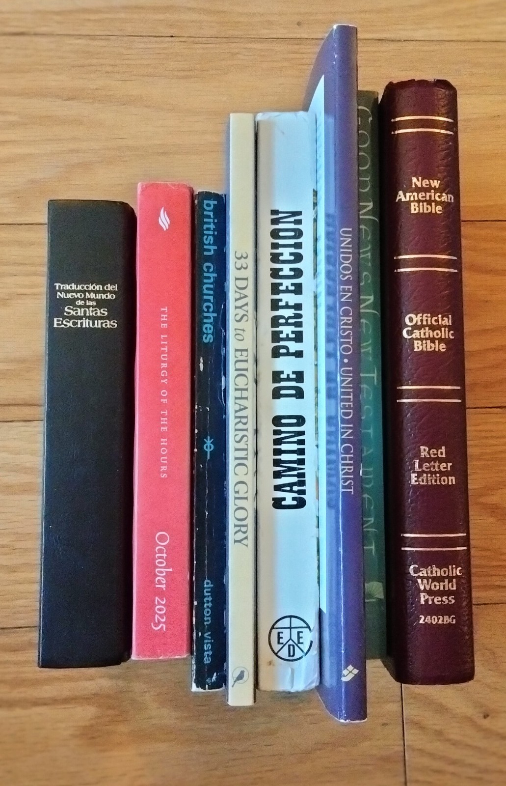Lot of 8 Religious Texts Good News New Testament Liturgy Hours Spanish/English