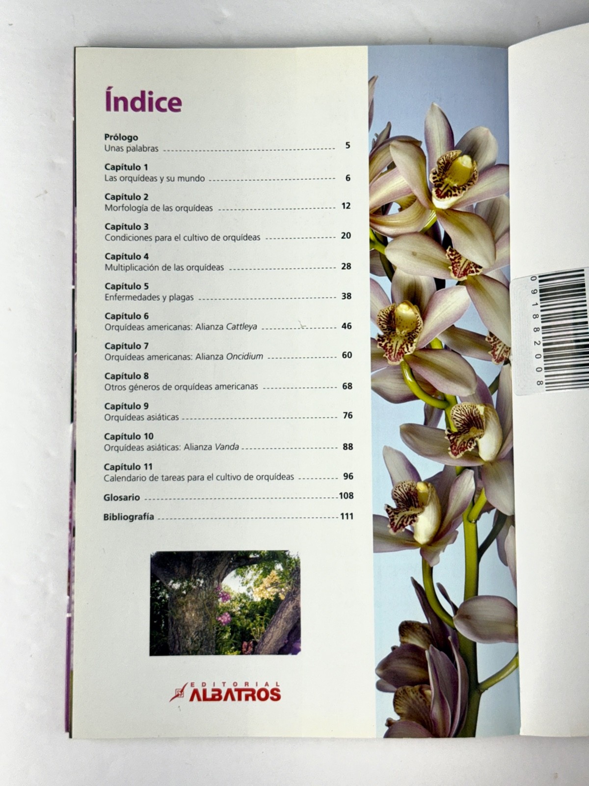 Lot of 3 Orchid Books Mark Griffiths (2005 HC) + Orquideas +Albert Hollingsworth