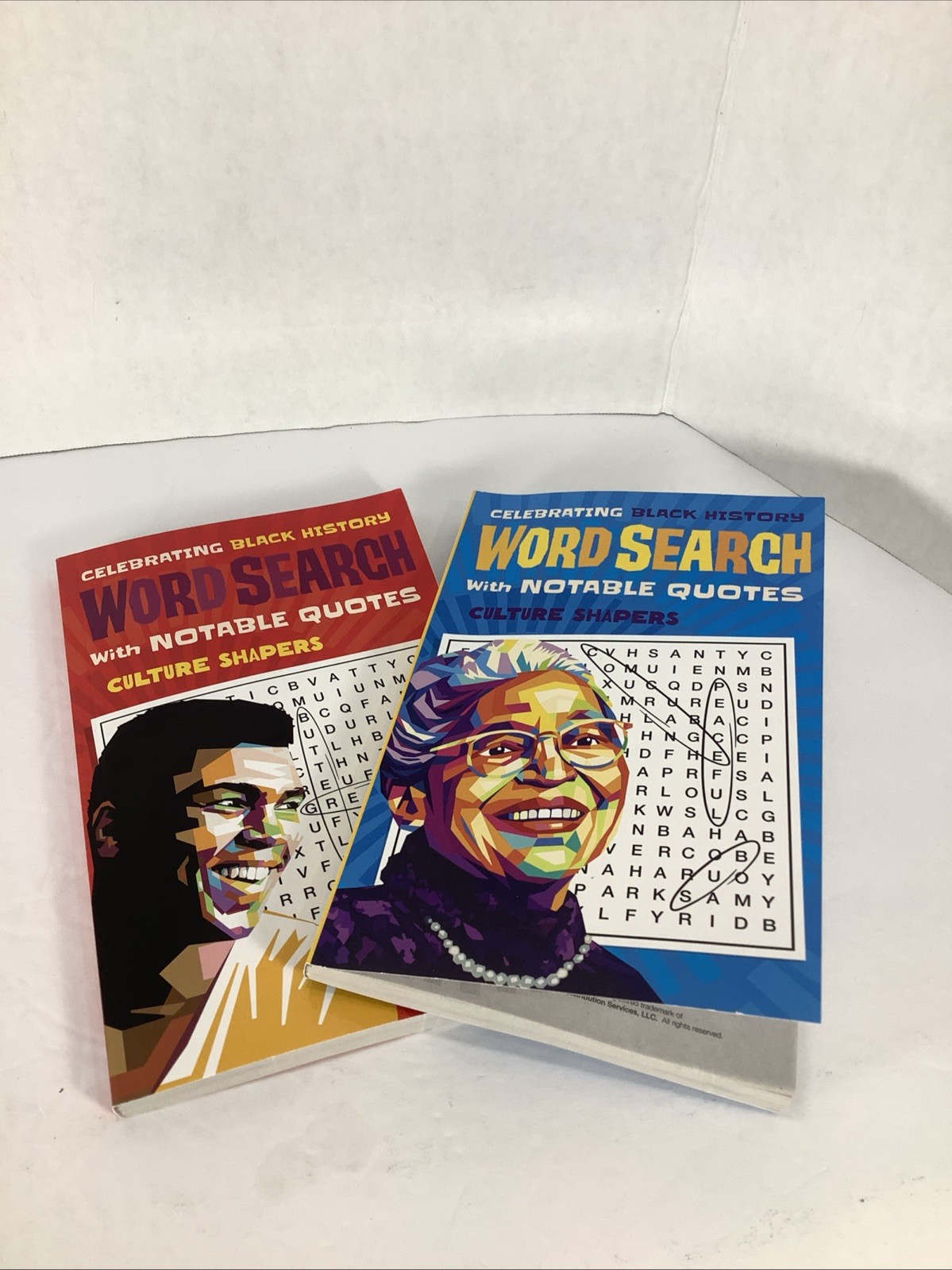 Set Of 2~Black History culture Shapers Word-Search~NEW