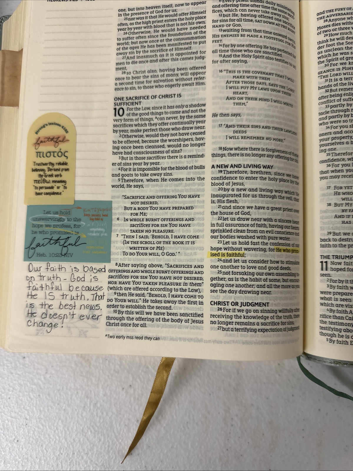 NASB, Artisan Collection Bible, Large Print, Leathersoft, Sage Floral, Red