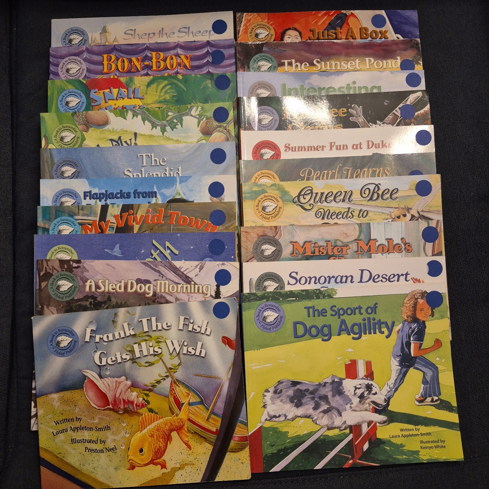 LOT OF 20 A BOOK TO REMEMBER FLYLEAF PUBLISHING DECODABLE READING HOMESCHOOL