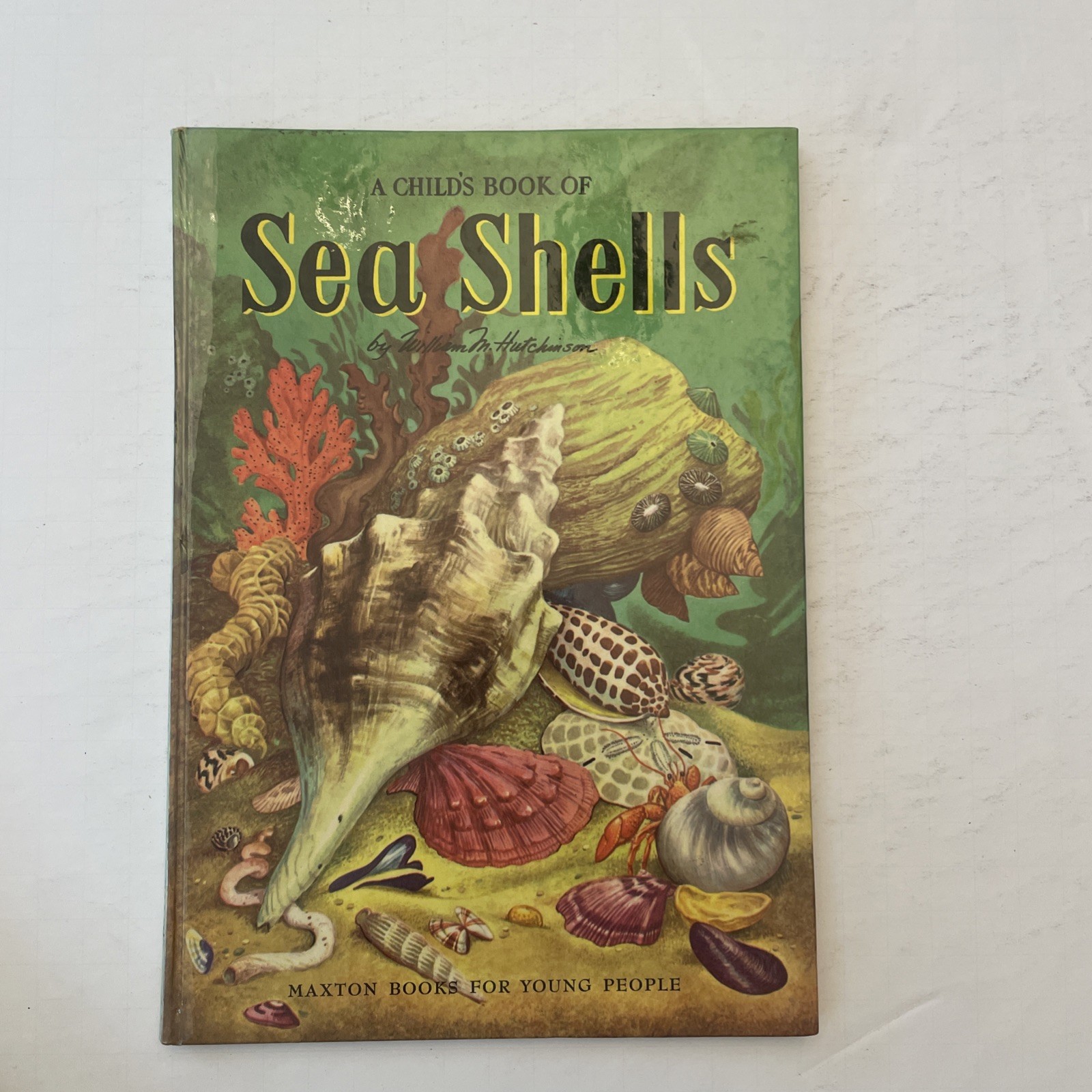* Vintage Lot 6 A Child’s Book Of Stones Stars Animals Rovers Trees Sea Shells