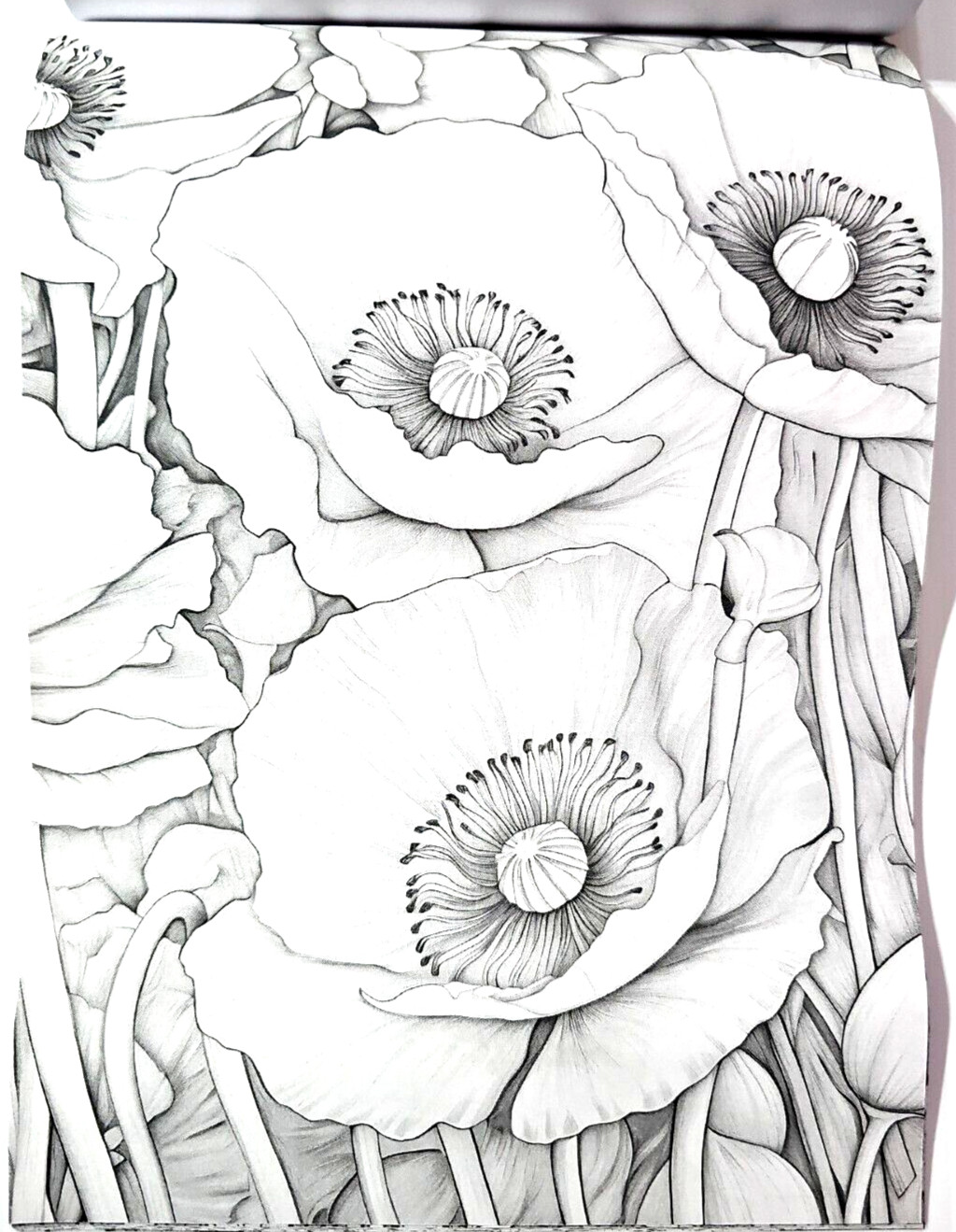 Coloring Book of Flowers 6.75″x10″ w/ 20 Pages of Single-Sided Images
