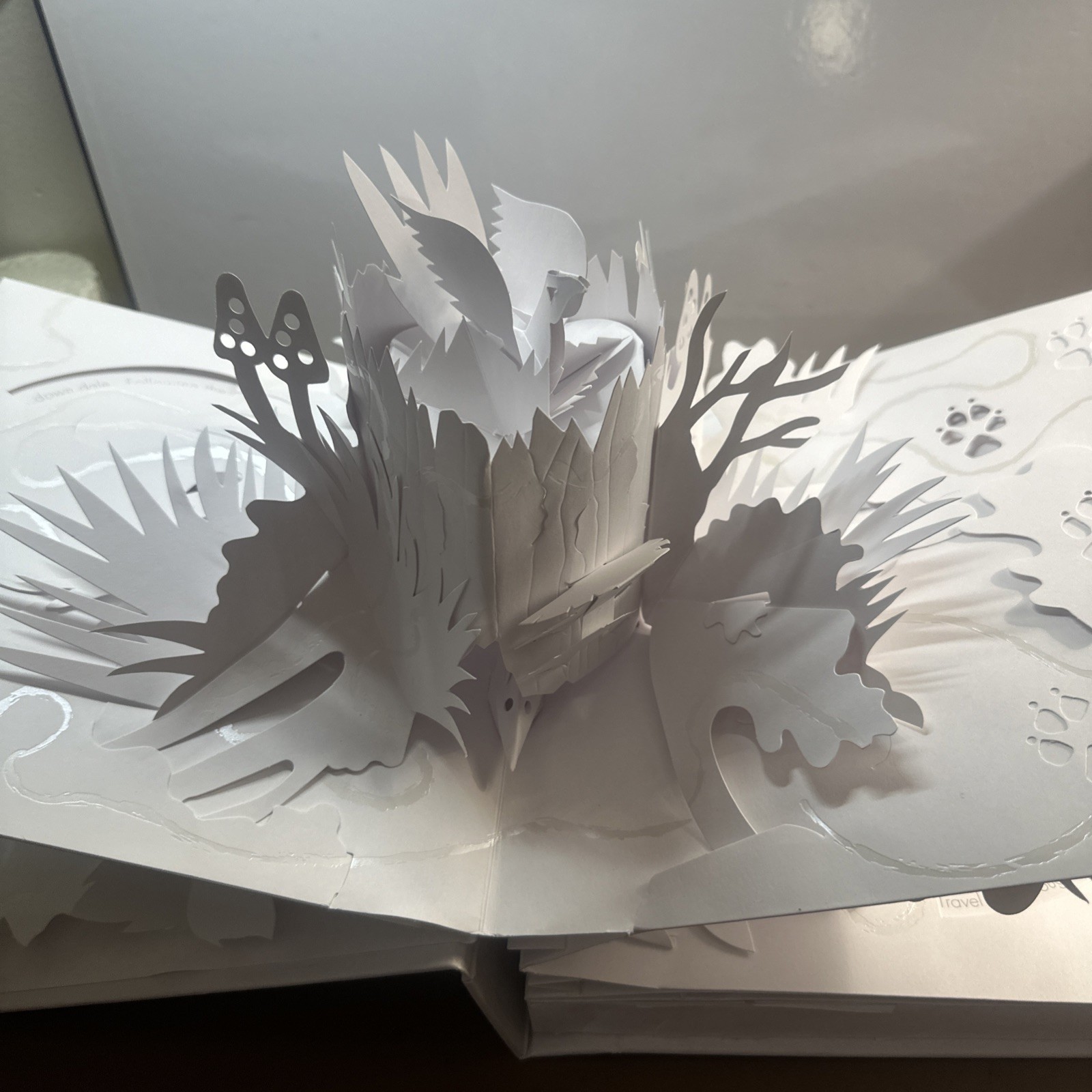 Trail : Paper Poetry by David Pelham (2007, Novelty Book)