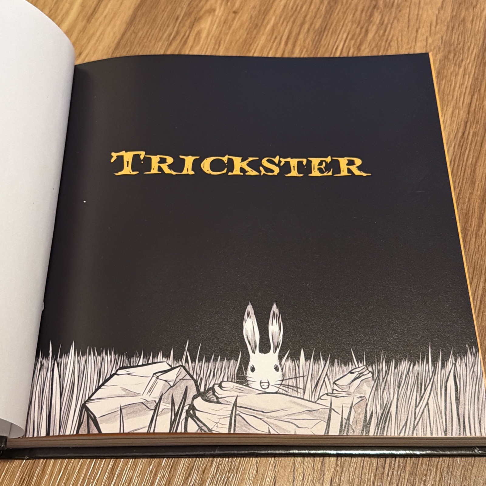 Trickster: Native American Tales, A Graphic Collection Hard Cover Matt Dembicki