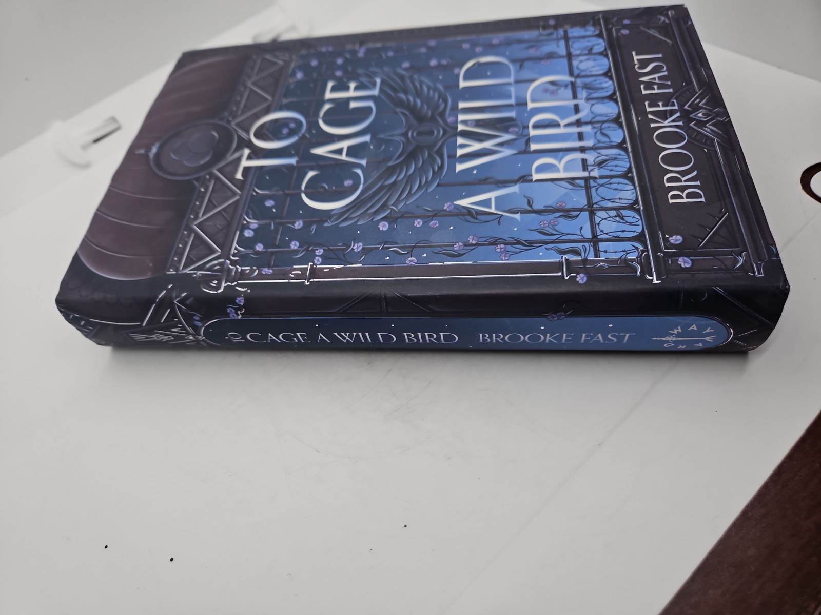 To Cage A Wild Bird Brooke Fast Signed Fairy Loot Exclusive Edition 2025 HCDJ