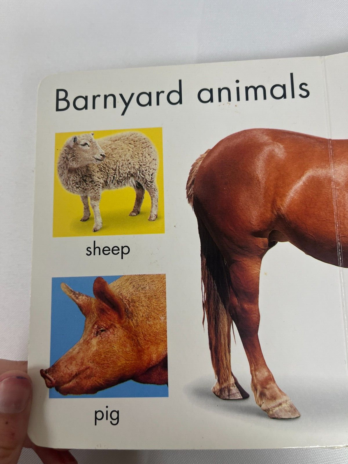 Happy Baby Animals 2002 Hardcover Jo Douglass
