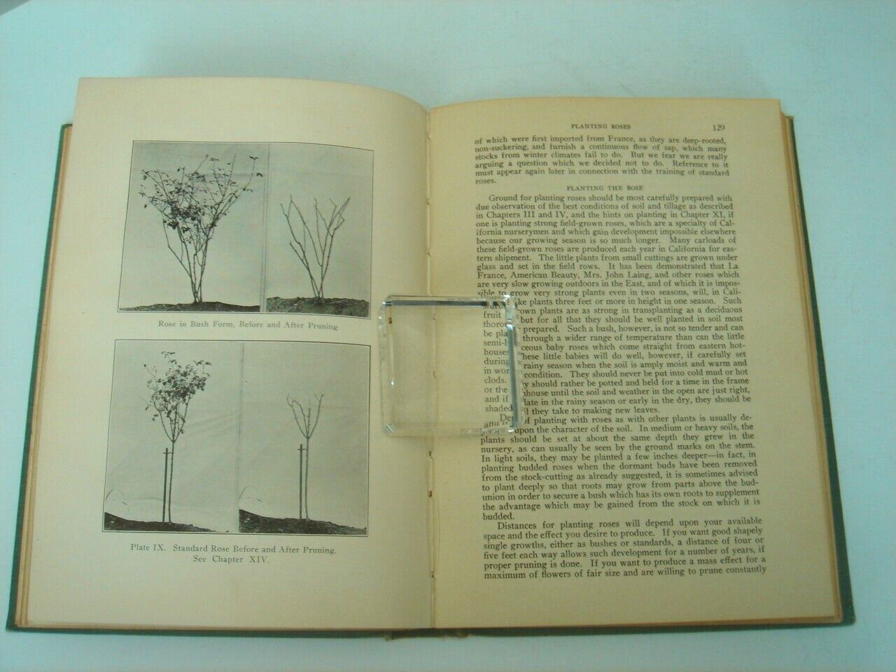 California Garden Flowers by Edward Wickson 1923 Second Edition 255 Pages