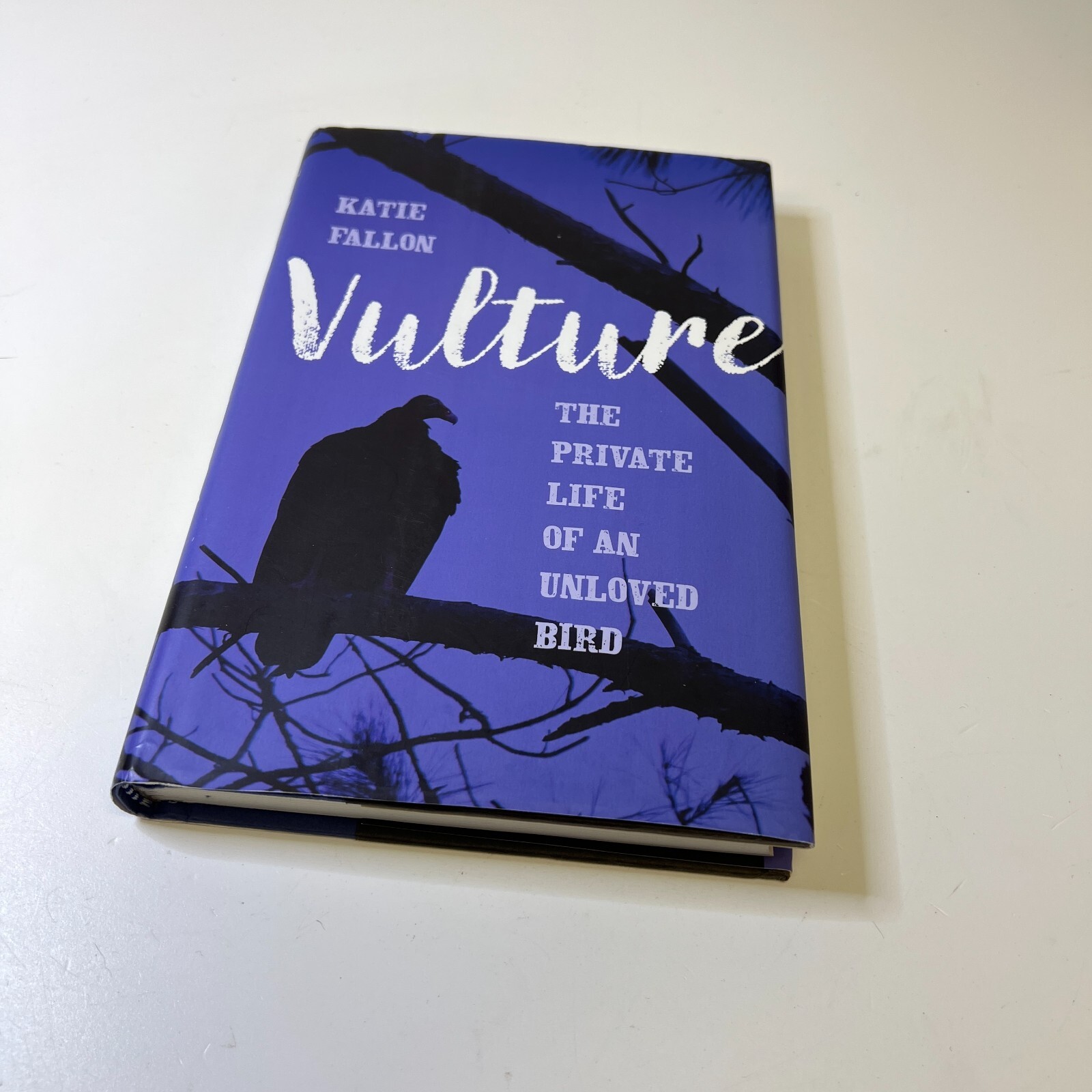 Vulture The Private Life of an Unloved Bird Hardcover Katie Fal