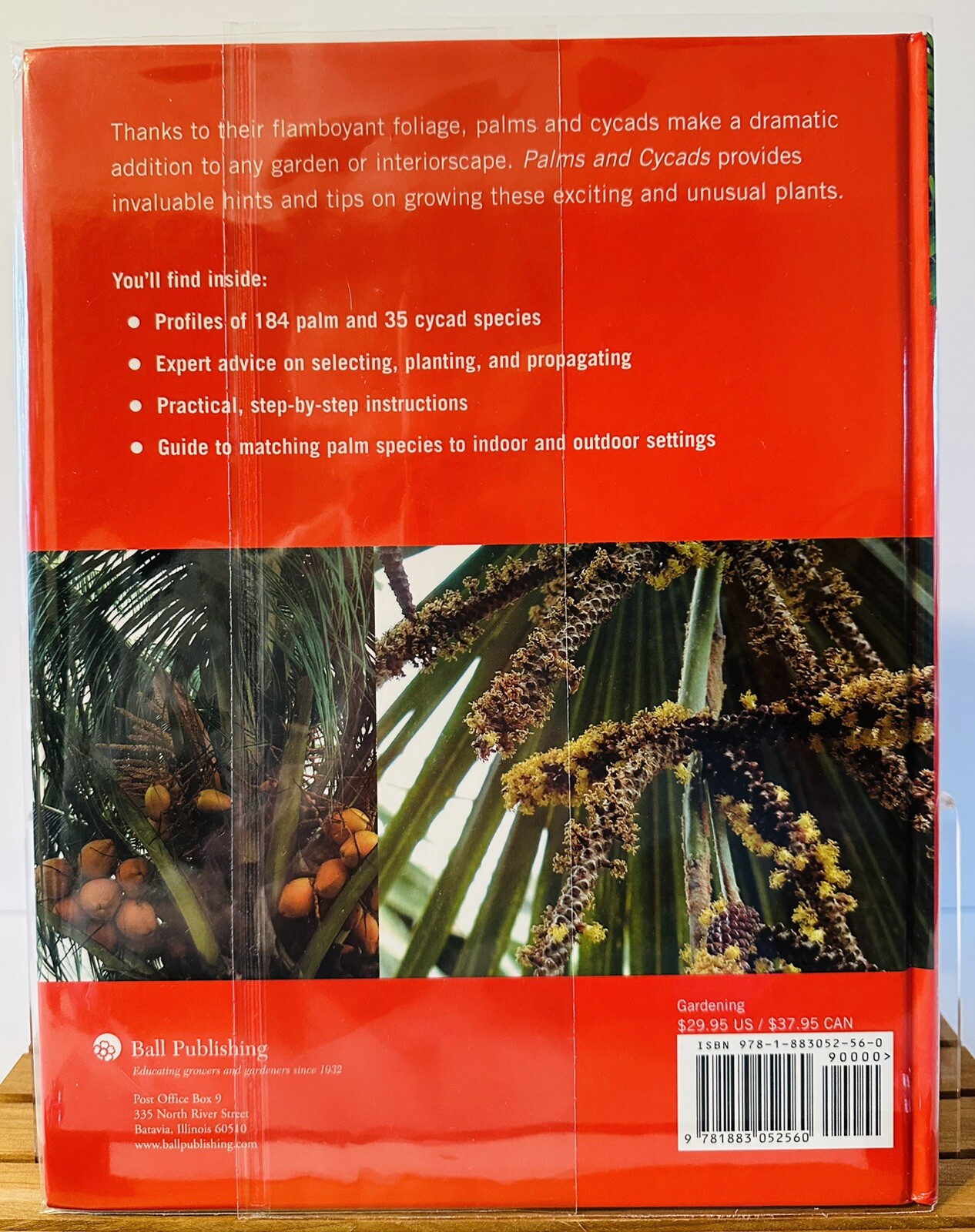 Palms And Cycads: A Guide To Selecting, Growing & Propagating David Squire New