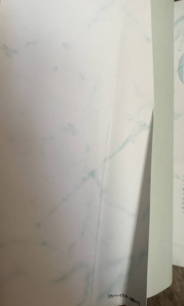 Angelique Characters Art Book Used with Wear