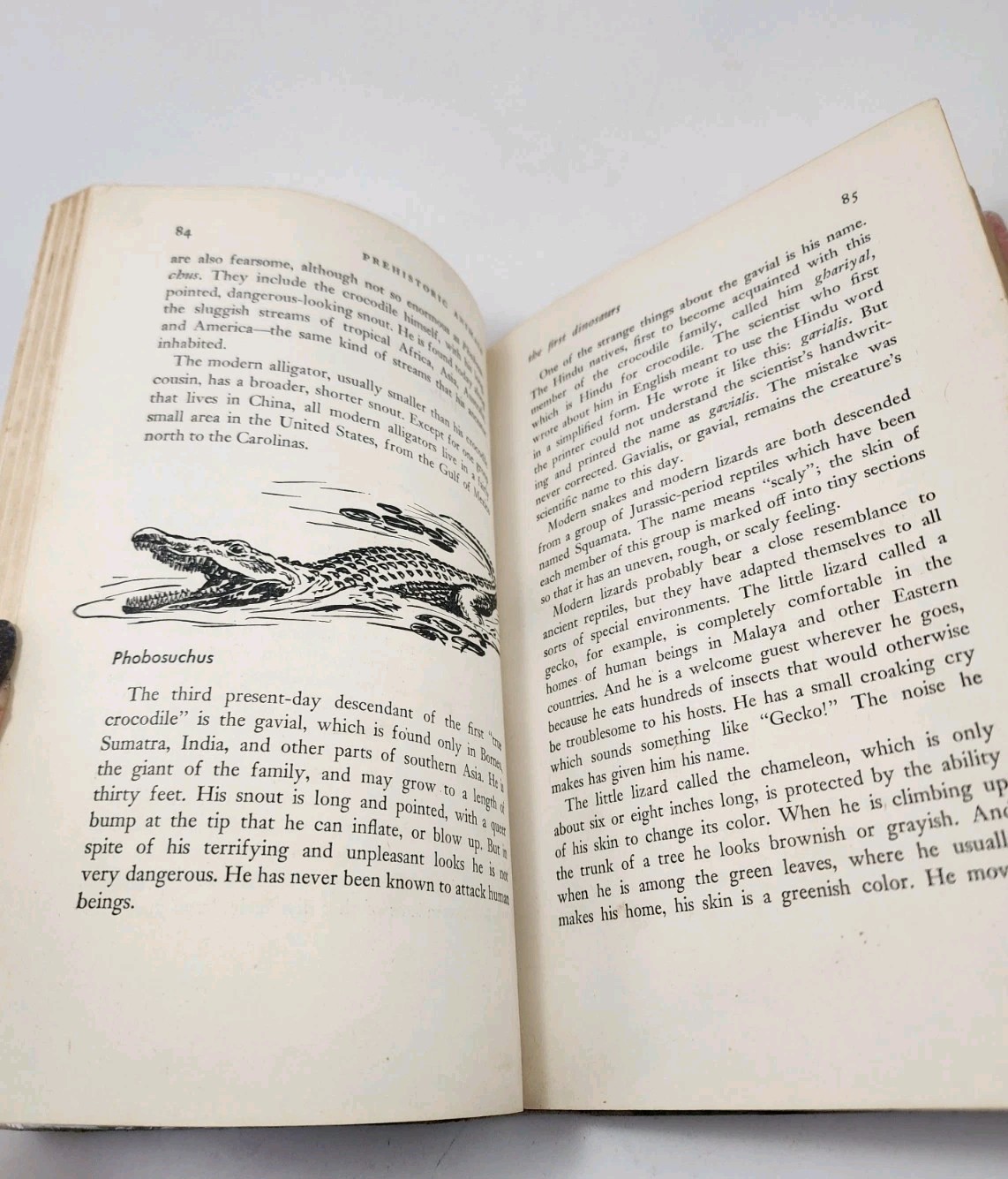 Vtg Prehistoric Animals Sam and Beryl Epstein 1956 1st Print Mylar HCDJ