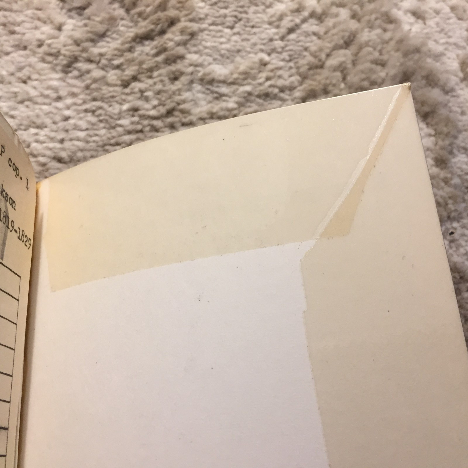 Rise Of The New West 1819–1829 Frederick Jackson Turner 1968 Collier Books