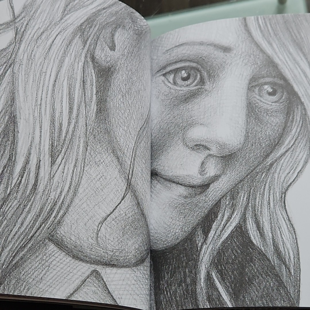 Wonder Struck Brian Selznick Scholastic Press Graphic Novel