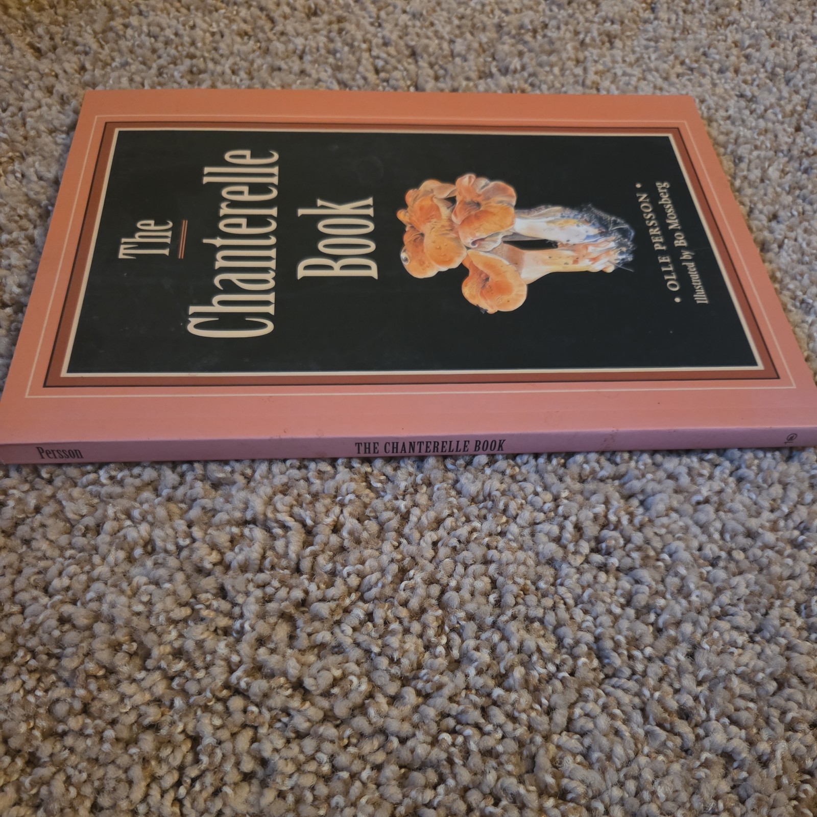Chanterelle by Ollie Pearson – Rare Indie Novel – Paperback 1st Edition