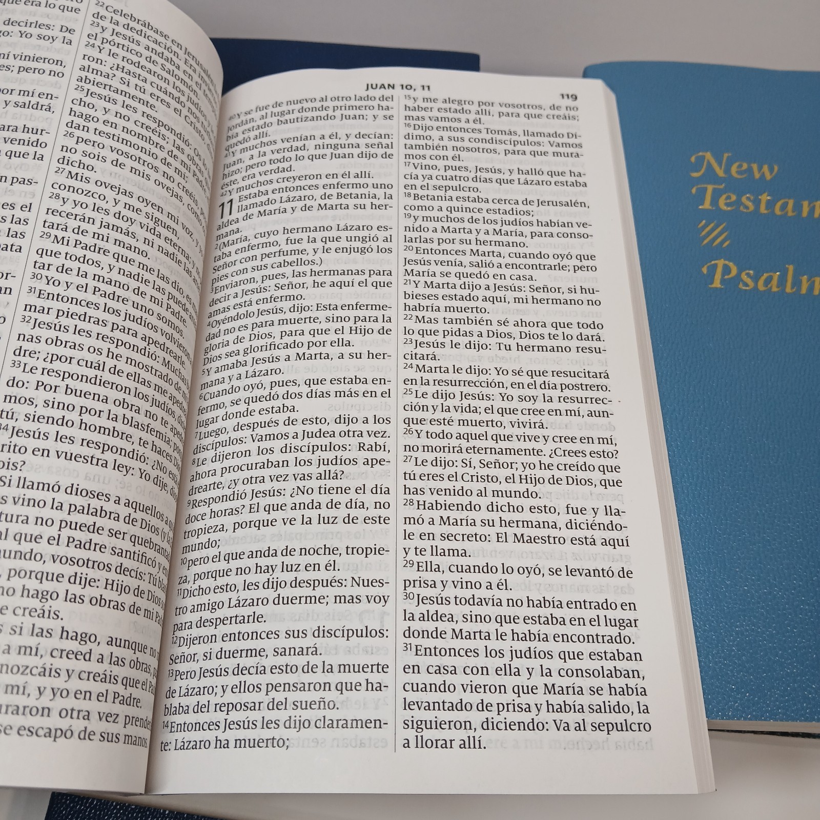 Lot of 13 New Testament Psalms KJV ESV Spanish Large Print Softcover 8.25 x 5.25