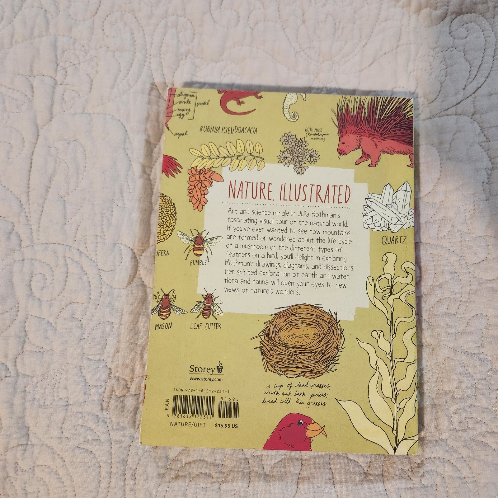 Nature Anatomy, Julia Rothman, Textbook and Notebook, Brandon New!!