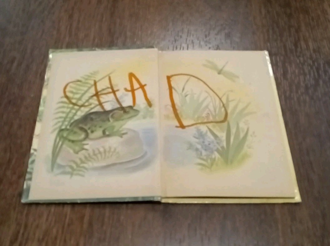 “ONCE UPON A TIME” (1960) JUNIOR ELF BOOK Rand McNally Story Of The Frog Prince.