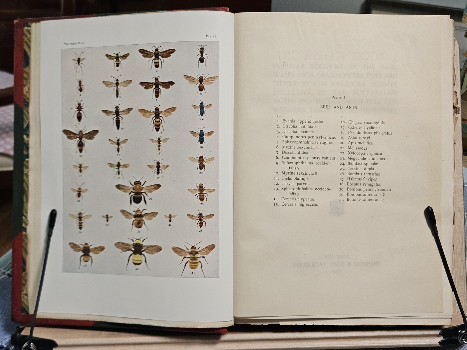 The Insect Book by Leland O. Howard, Ph.D. HC 1903 Red Leather/Green Cloth