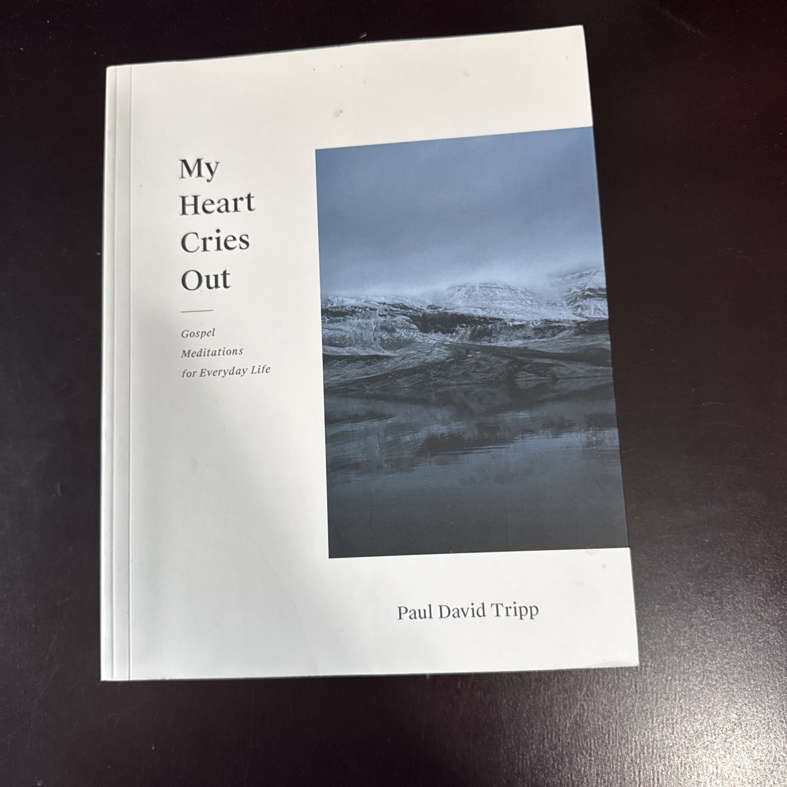 My Heart Cries Out : Gospel Meditations for Everyday Life by Paul David Tripp…