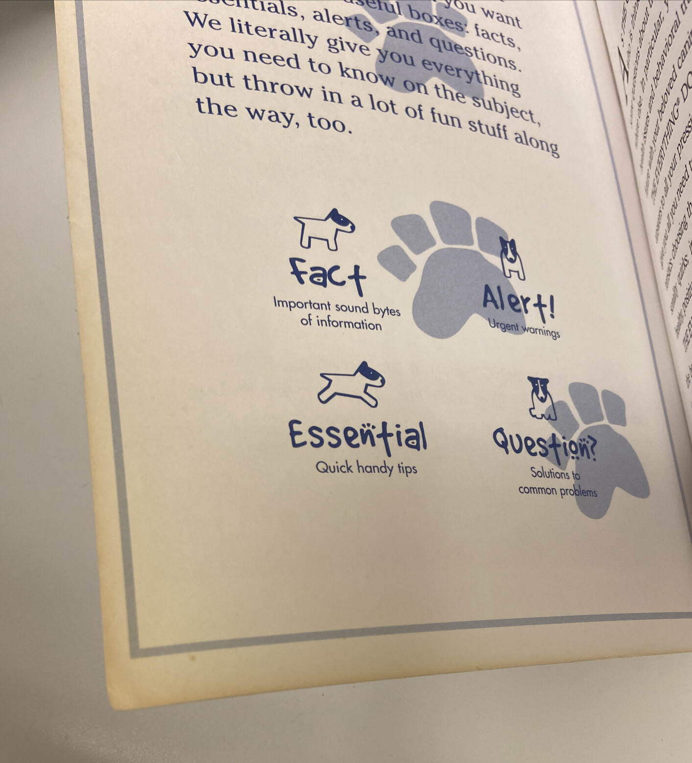 Everything® Ser.: Labrador Retriever Book : A Complete Guide to Raising,…