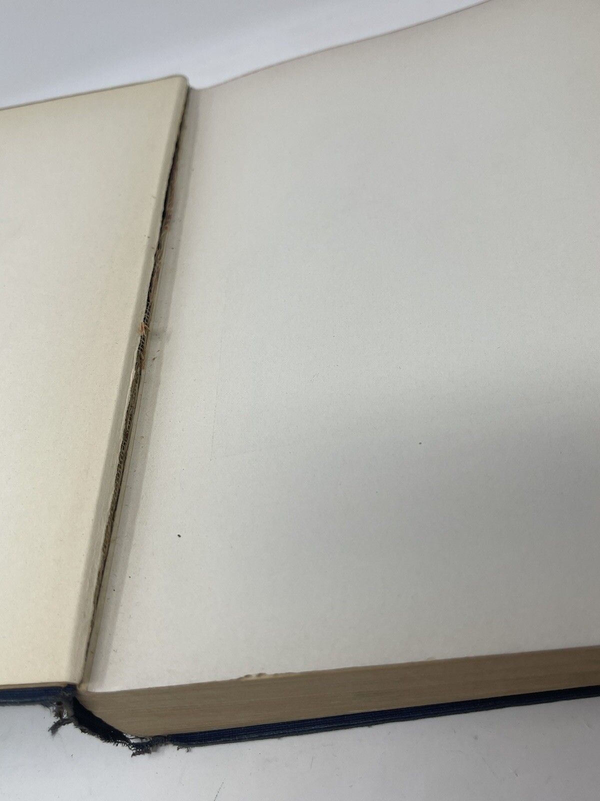 I Was Hitler’s Prisoner A Diary By Stefan Lorant Hardcover Putnam 1935