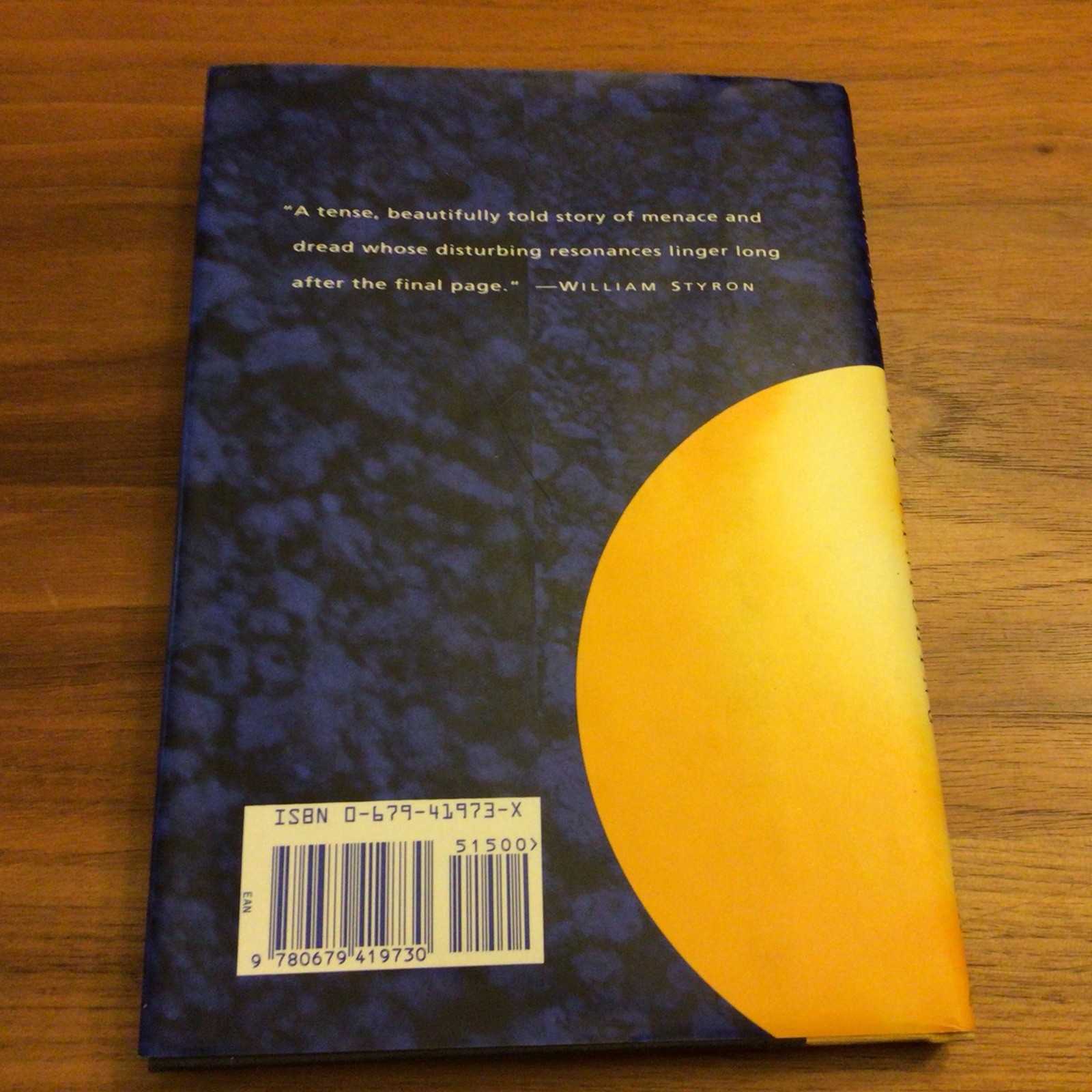 The Vanishing A Novel By Tim Krabbe Hardcover Book First US Edition 1993